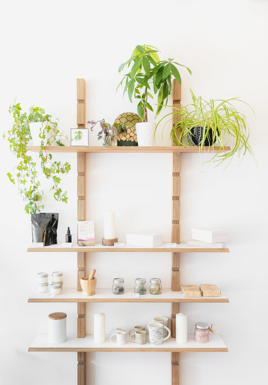 5 Everyday Herbs to Welcome Into Your Life