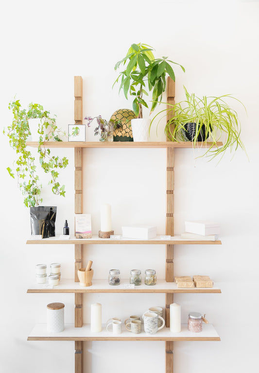 5 Everyday Herbs to Welcome Into Your Life