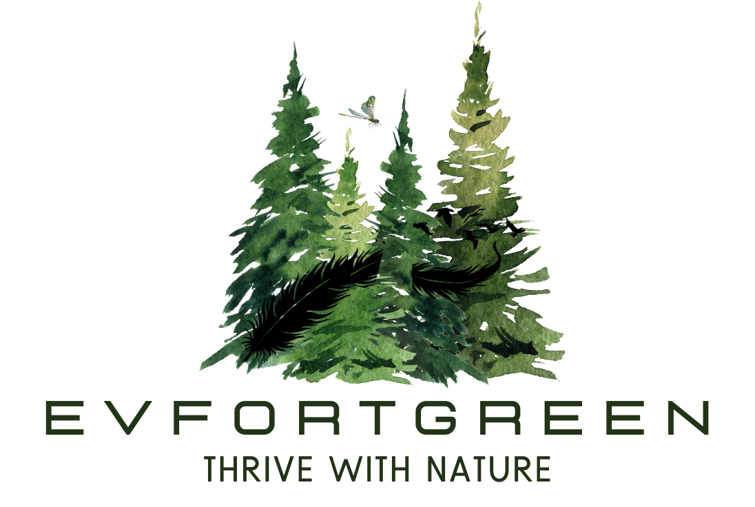 Immunity | Vitality