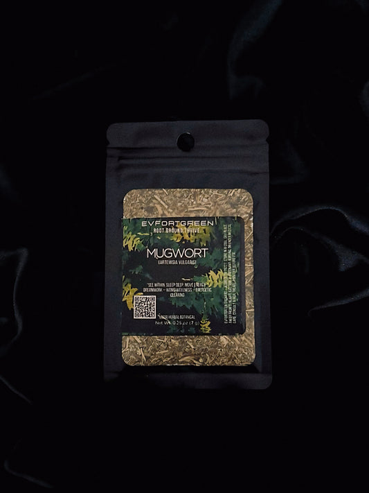 Mugwort (Artemisia vulgaris)